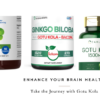 Your Journey to Enhanced Brain Health with Gotu Kola Supplements