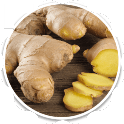 Ginger Rhizome