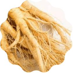 Suma Root: Suma Root is known for its adaptogenic properties, helping the body adapt to stress and improve overall energy levels.